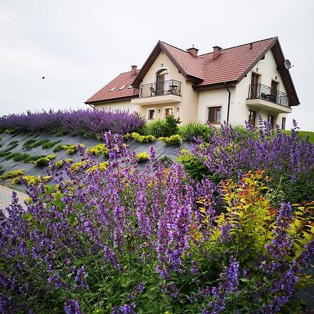 Apartamenty, Zielone Wzgorze Wiktora W Mikolajkach Mikołajki Luaran gambar