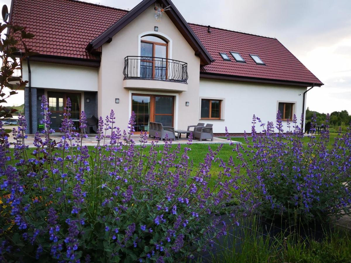 Apartamenty, Zielone Wzgorze Wiktora W Mikolajkach Mikołajki Luaran gambar