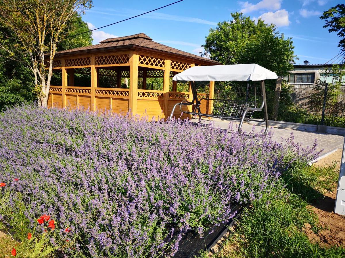 Apartamenty, Zielone Wzgorze Wiktora W Mikolajkach Mikołajki Luaran gambar